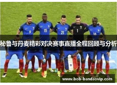 秘鲁与丹麦精彩对决赛事直播全程回顾与分析